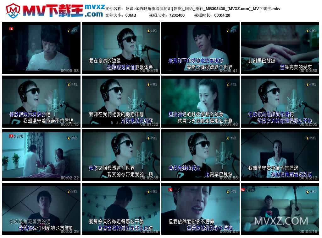 赵鑫-你的眼角流着我的泪(替换)_国语_流行_MB305430